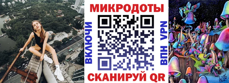 мориарти как зайти  Ахтубинск  Галлюциногенные грибы мицелий 