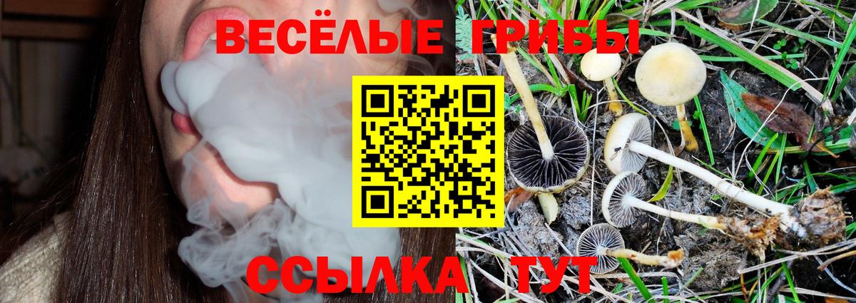 Ахтубинск  Псилоцибиновые грибы GOLDEN TEACHER  Галлюциногенные грибы MAGIC MUSHROOMS  Вход с VPN 