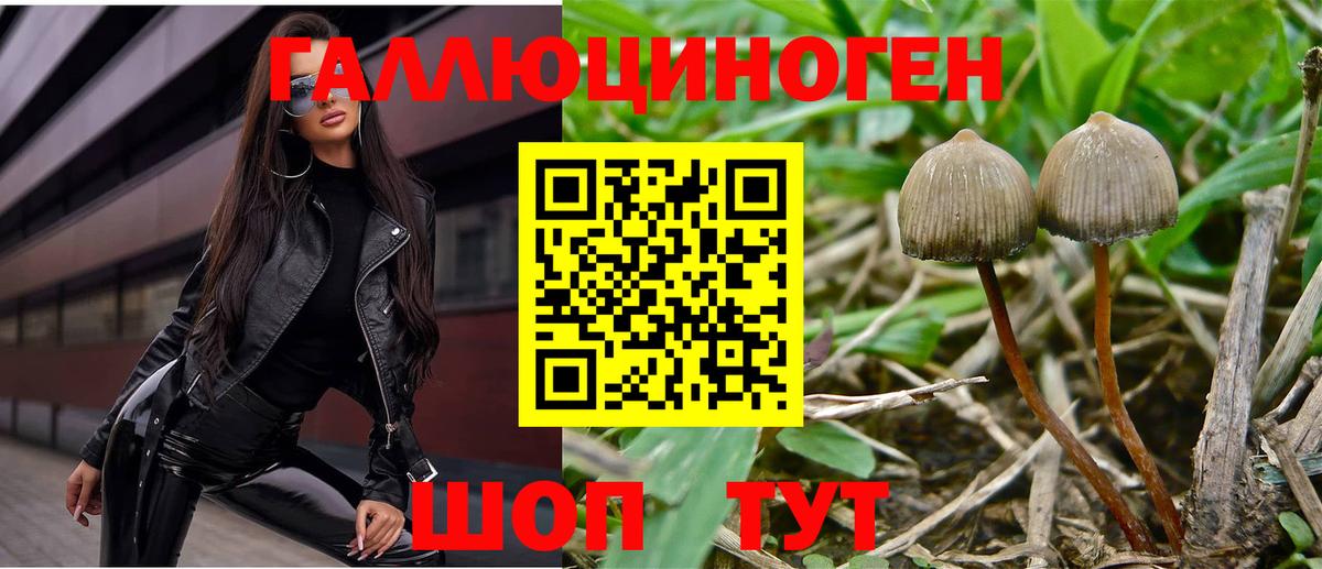 Галлюциногенные грибы ЛСД Ахтубинск